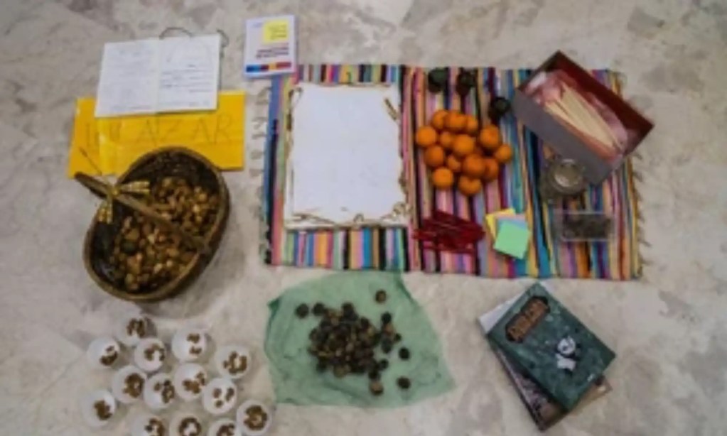 Se de uma semente cresce uma árvore, de uma ideia cresce um projeto que melhora a sociedade