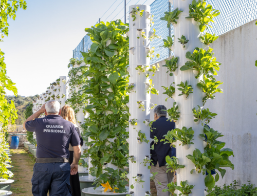 O Modelo de Pequena Escala e a Integração na Comunidade: A visão da RESHAPE