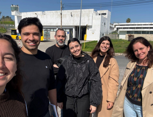 Quando a voz ganha espaço: o momento Dolphin Tank